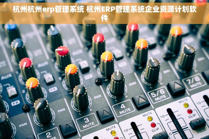 杭州杭州erp管理系统 杭州ERP管理系统企业资源计划软件 杭州杭州erp管理系统 杭州ERP管理系统企业资源计划软件