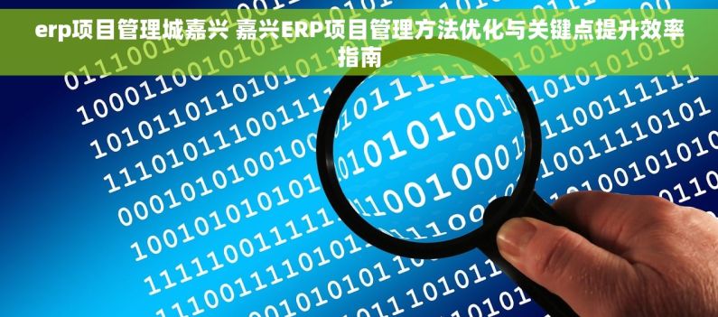 erp项目管理城嘉兴 嘉兴ERP项目管理方法优化与关键点提升效率指南