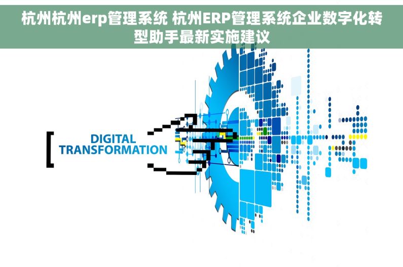 杭州杭州erp管理系统 杭州ERP管理系统企业数字化转型助手最新实施建议