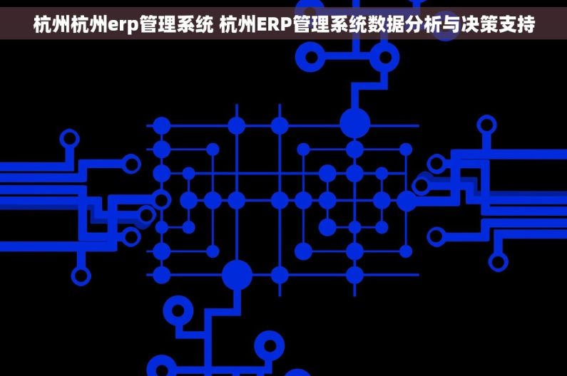 杭州杭州erp管理系统 杭州ERP管理系统数据分析与决策支持