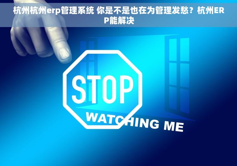 杭州杭州erp管理系统 你是不是也在为管理发愁？杭州ERP能解决