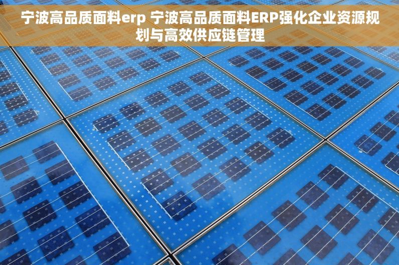 宁波高品质面料erp 宁波高品质面料ERP强化企业资源规划与高效供应链管理 宁波高品质面料erp 宁波高品质面料ERP强化企业资源规划与高效供应链管理