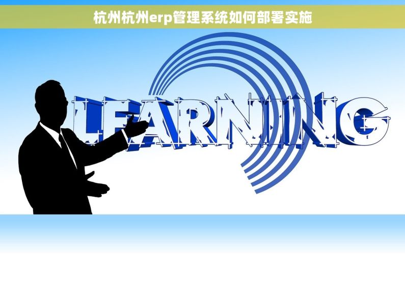 杭州杭州erp管理系统如何部署实施