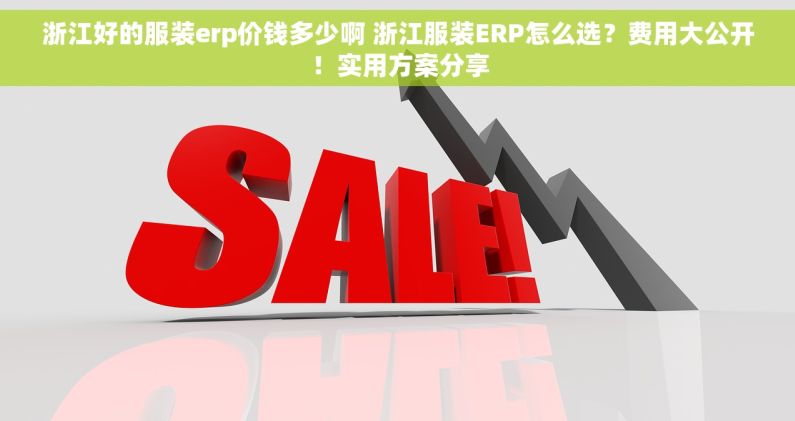 浙江好的服装erp价钱多少啊 浙江服装ERP怎么选？费用大公开！实用方案分享