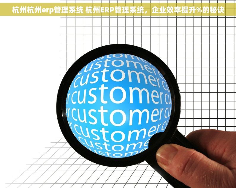 杭州杭州erp管理系统 杭州ERP管理系统，企业效率提升%的秘诀