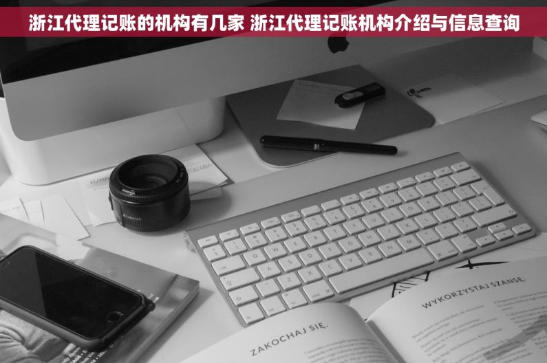 浙江代理记账的机构有几家 浙江代理记账机构介绍与信息查询