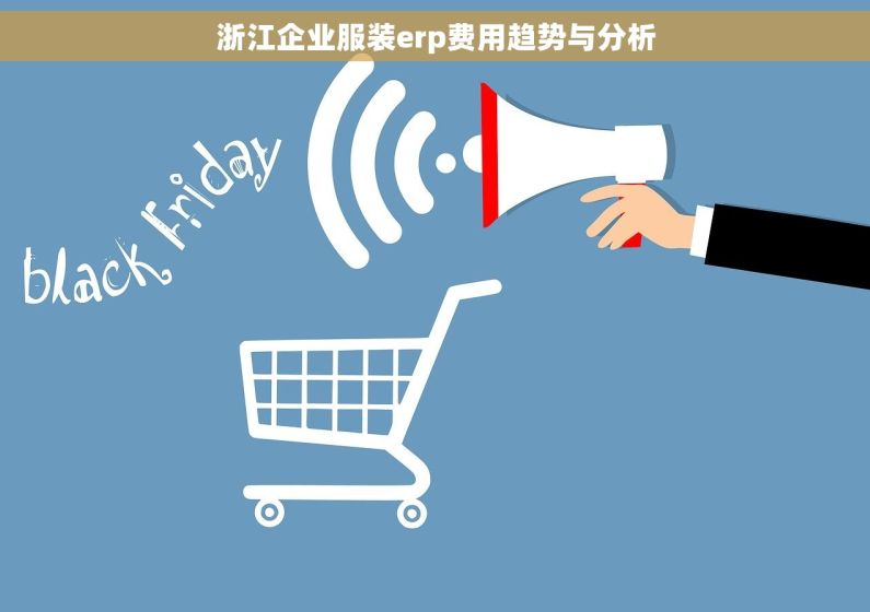 浙江企业服装erp费用趋势与分析