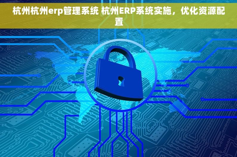 杭州杭州erp管理系统 杭州ERP系统实施，优化资源配置