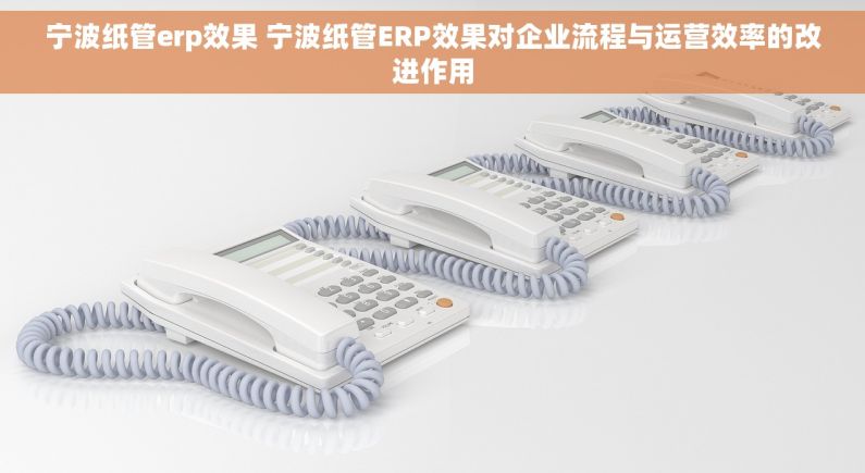 宁波纸管erp效果 宁波纸管ERP效果对企业流程与运营效率的改进作用