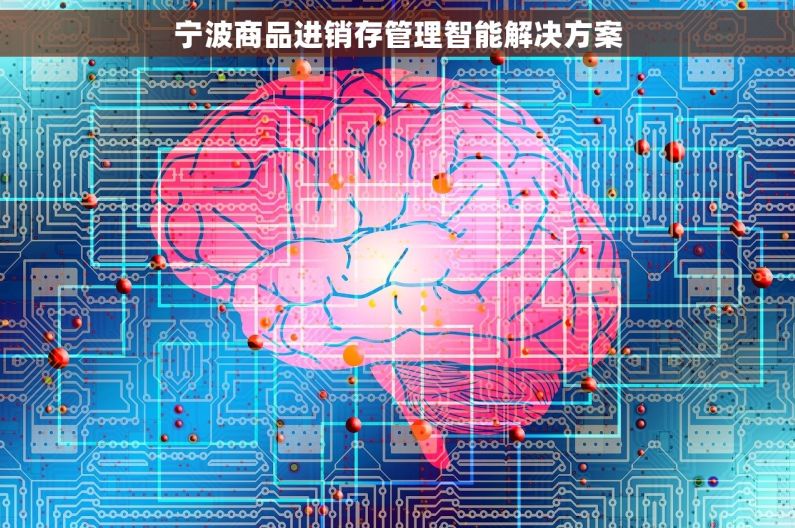 宁波商品进销存管理智能解决方案