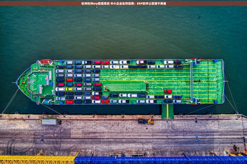 杭州杭州erp管理系统 中小企业生存指南:ERP软件让管理不再难 杭州杭州erp管理系统 中小企业生存指南:ERP软件让管理不再难
