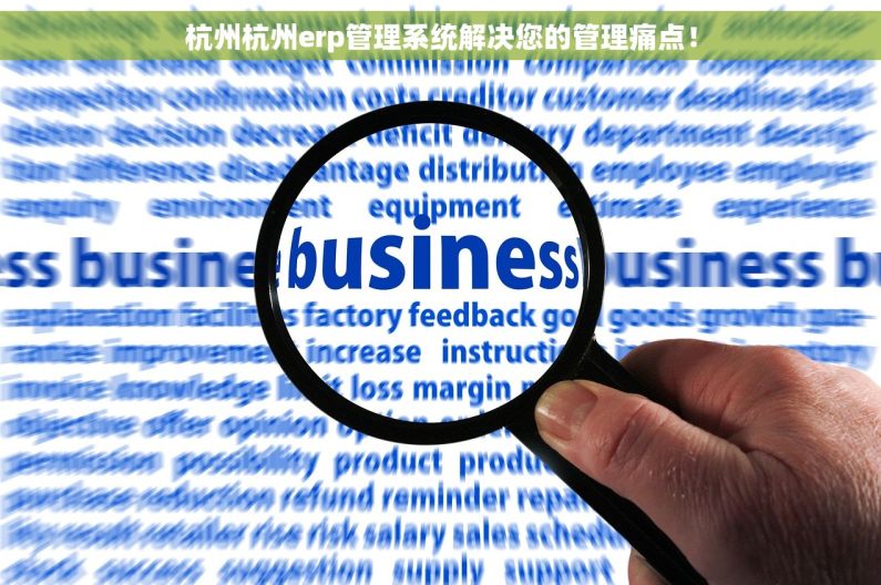 杭州杭州erp管理系统解决您的管理痛点! 杭州杭州erp管理系统解决您的管理痛点!