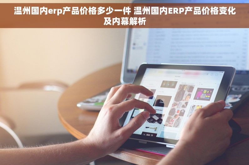 温州国内erp产品价格多少一件 温州国内ERP产品价格变化及内幕解析