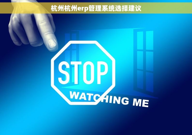 杭州杭州erp管理系统选择建议 杭州杭州erp管理系统选择建议