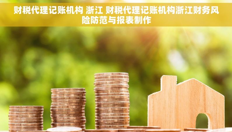 财税代理记账机构 浙江 财税代理记账机构浙江财务风险防范与报表制作
