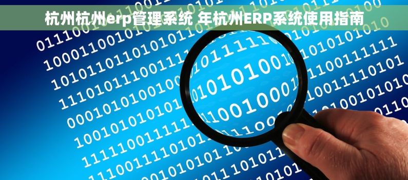 杭州杭州erp管理系统 年杭州ERP系统使用指南 杭州杭州erp管理系统 年杭州ERP系统使用指南