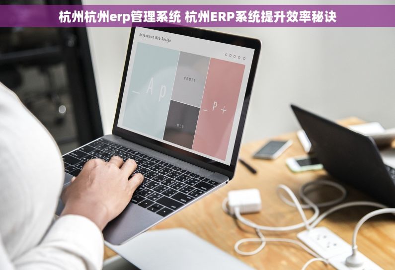 杭州杭州erp管理系统 杭州ERP系统提升效率秘诀 杭州杭州erp管理系统 杭州ERP系统提升效率秘诀
