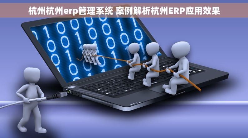 杭州杭州erp管理系统 案例解析杭州ERP应用效果 杭州杭州erp管理系统 案例解析杭州ERP应用效果
