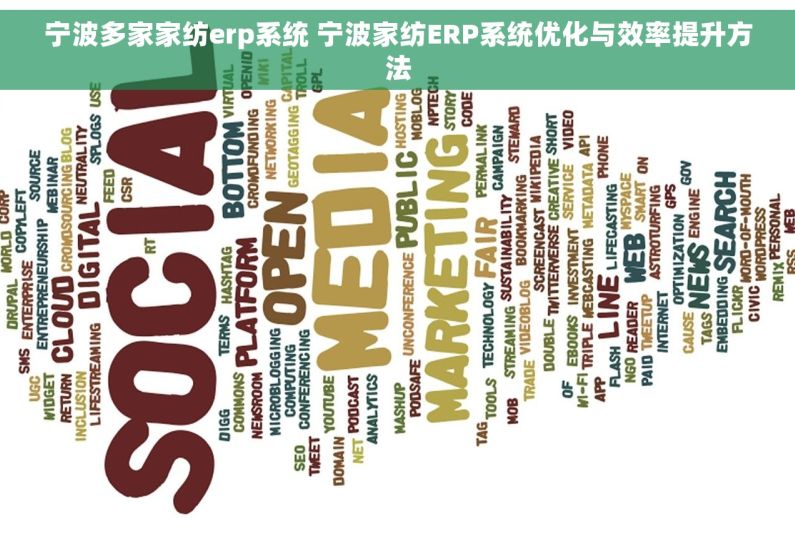 宁波多家家纺erp系统 宁波家纺ERP系统优化与效率提升方法