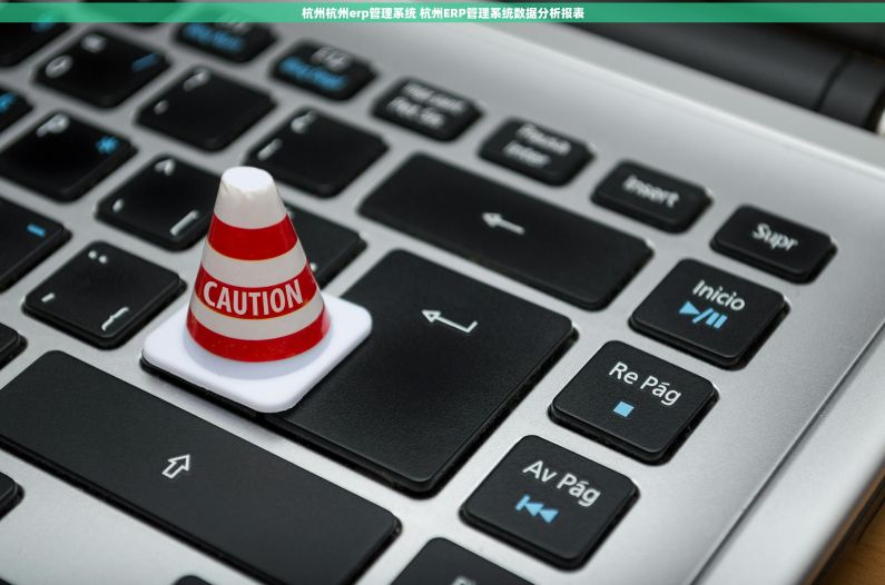 杭州杭州erp管理系统 杭州ERP管理系统数据分析报表 杭州杭州erp管理系统 杭州ERP管理系统数据分析报表