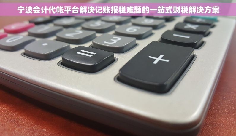 宁波会计代帐平台解决记账报税难题的一站式财税解决方案 宁波会计代帐平台解决记账报税难题的一站式财税解决方案