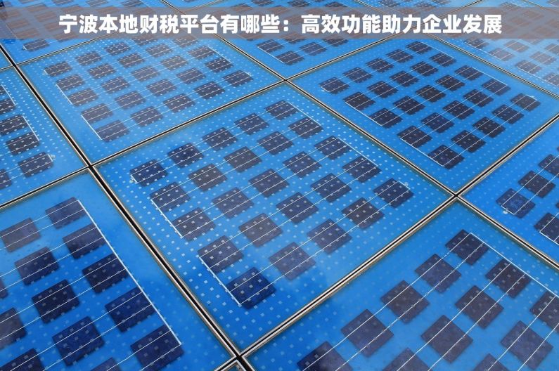 宁波本地财税平台有哪些:高效功能助力企业发展 宁波本地财税平台有哪些:高效功能助力企业发展