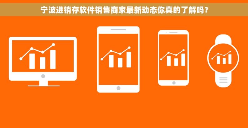 宁波进销存软件销售商家最新动态你真的了解吗？