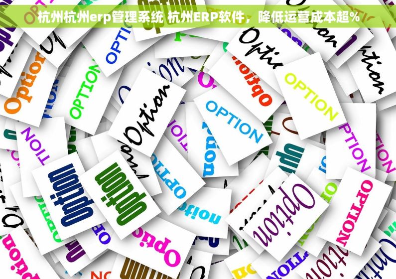 杭州杭州erp管理系统 杭州ERP软件,降低运营成本超% 杭州杭州erp管理系统 杭州ERP软件,降低运营成本超%