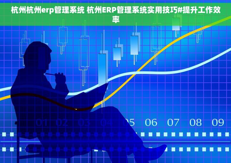 杭州杭州erp管理系统 杭州ERP管理系统实用技巧#提升工作效率