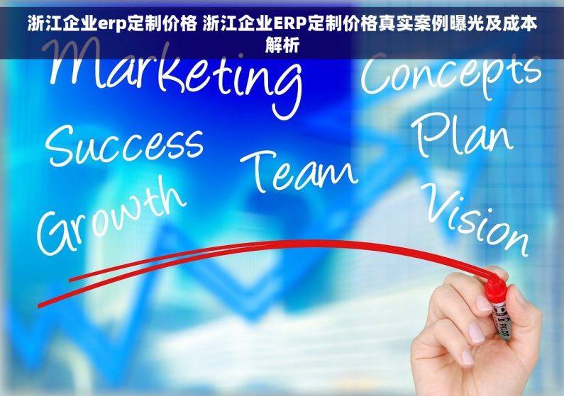 浙江企业erp定制价格 浙江企业ERP定制价格真实案例曝光及成本解析 浙江企业erp定制价格 浙江企业ERP定制价格真实案例曝光及成本解析