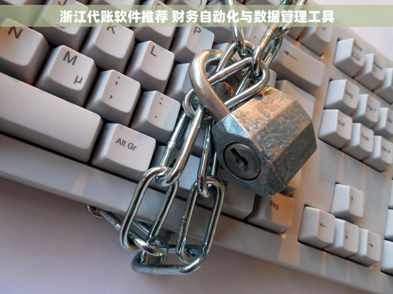 浙江代账软件推荐 财务自动化与数据管理工具 浙江代账软件推荐 财务自动化与数据管理工具