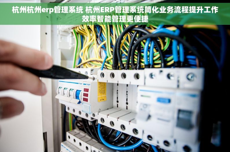杭州杭州erp管理系统 杭州ERP管理系统简化业务流程提升工作效率智能管理更便捷 杭州杭州erp管理系统 杭州ERP管理系统简化业务流程提升工作效率智能管理更便捷