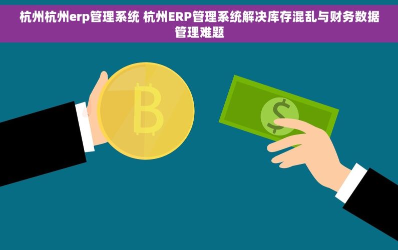 杭州杭州erp管理系统 杭州ERP管理系统解决库存混乱与财务数据管理难题