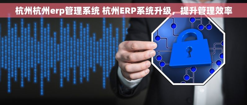 杭州杭州erp管理系统 杭州ERP系统升级,提升管理效率 杭州杭州erp管理系统 杭州ERP系统升级,提升管理效率