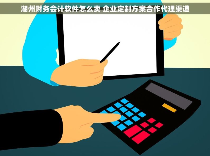 湖州财务会计软件怎么卖 企业定制方案合作代理渠道 湖州财务会计软件怎么卖 企业定制方案合作代理渠道