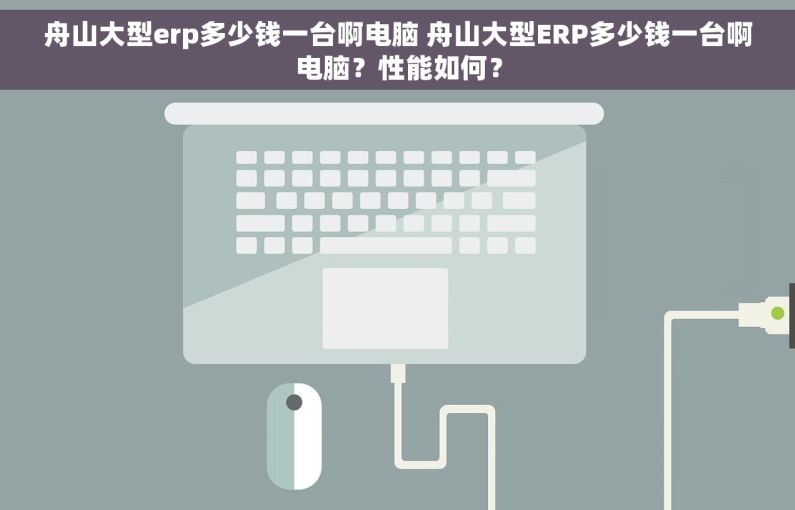 舟山大型erp多少钱一台啊电脑 舟山大型ERP多少钱一台啊电脑？性能如何？