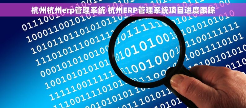 杭州杭州erp管理系统 杭州ERP管理系统项目进度跟踪 杭州杭州erp管理系统 杭州ERP管理系统项目进度跟踪