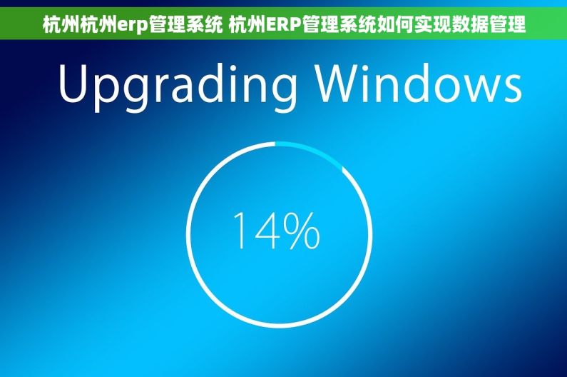 杭州杭州erp管理系统 杭州ERP管理系统如何实现数据管理 杭州杭州erp管理系统 杭州ERP管理系统如何实现数据管理