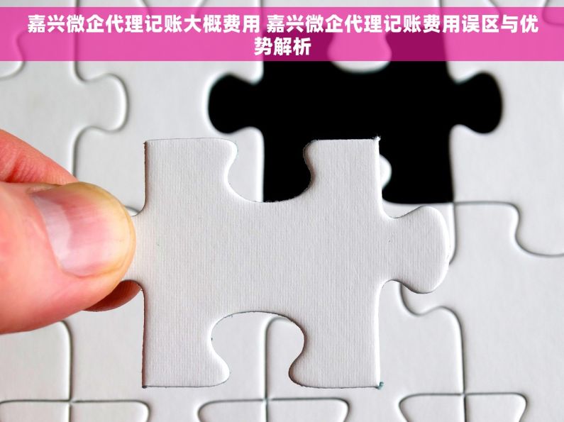 嘉兴微企代理记账大概费用 嘉兴微企代理记账费用误区与优势解析 嘉兴微企代理记账大概费用 嘉兴微企代理记账费用误区与优势解析