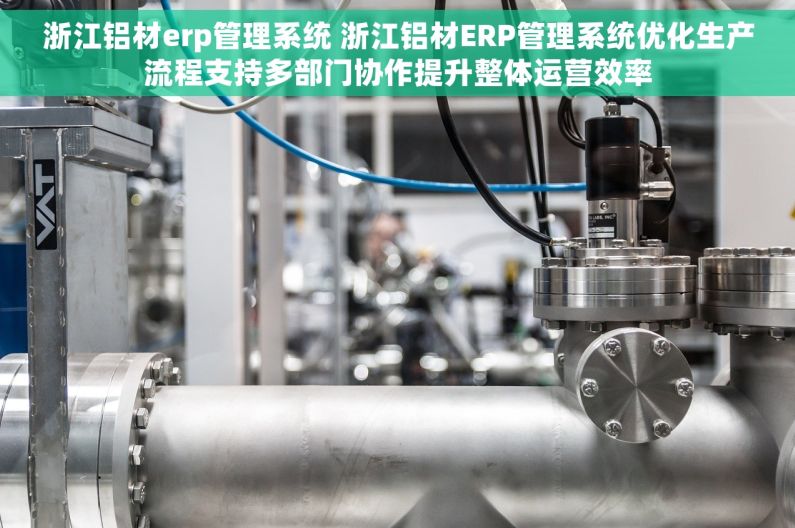 浙江铝材erp管理系统 浙江铝材ERP管理系统优化生产流程支持多部门协作提升整体运营效率 浙江铝材erp管理系统 浙江铝材ERP管理系统优化生产流程支持多部门协作提升整体运营效率