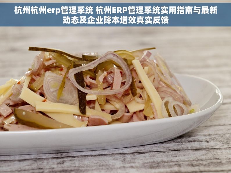 杭州杭州erp管理系统 杭州ERP管理系统实用指南与最新动态及企业降本增效真实反馈