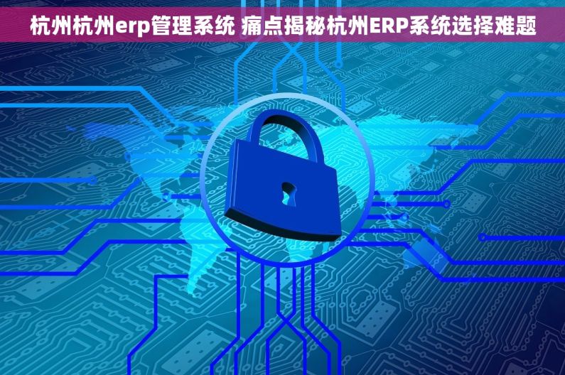 杭州杭州erp管理系统 痛点揭秘杭州ERP系统选择难题