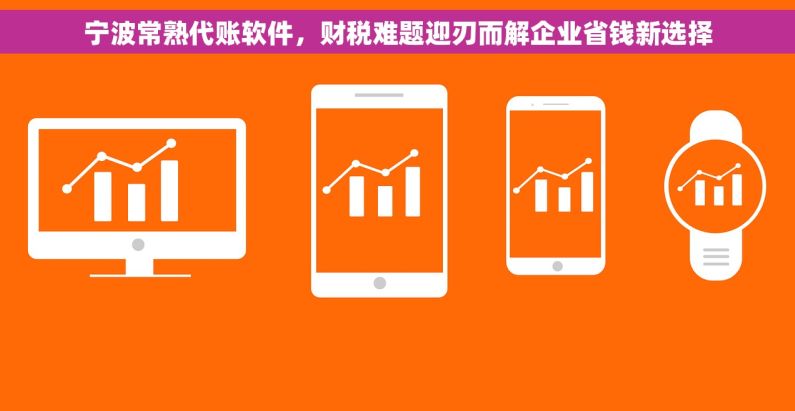 宁波常熟代账软件,财税难题迎刃而解企业省钱新选择 宁波常熟代账软件,财税难题迎刃而解企业省钱新选择