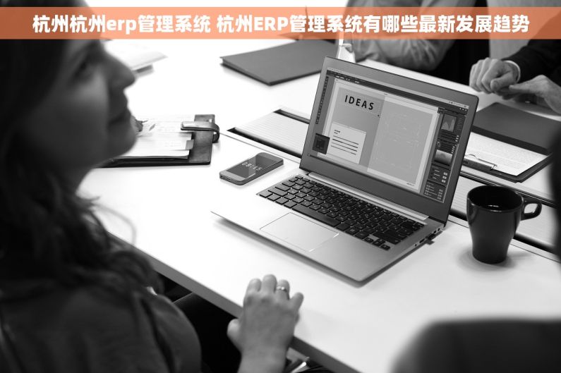 杭州杭州erp管理系统 杭州ERP管理系统有哪些最新发展趋势 杭州杭州erp管理系统 杭州ERP管理系统有哪些最新发展趋势