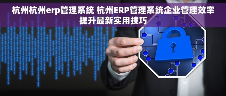 杭州杭州erp管理系统 杭州ERP管理系统企业管理效率提升最新实用技巧