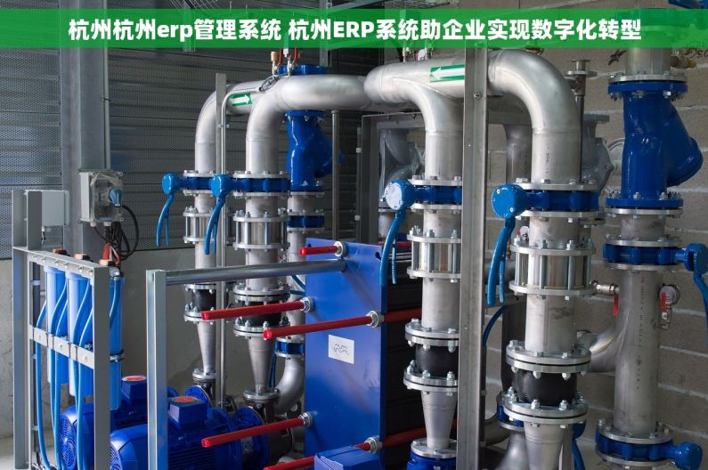 杭州杭州erp管理系统 杭州ERP系统助企业实现数字化转型