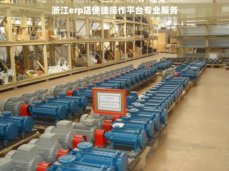 浙江erp店便捷操作平台专业服务 浙江erp店便捷操作平台专业服务