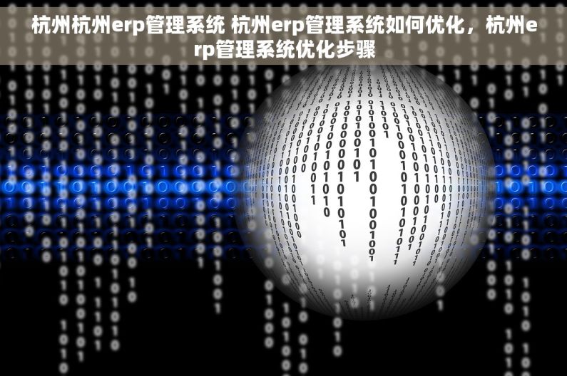 杭州杭州erp管理系统 杭州erp管理系统如何优化,杭州erp管理系统优化步骤 杭州杭州erp管理系统 杭州erp管理系统如何优化,杭州erp管理系统优化步骤