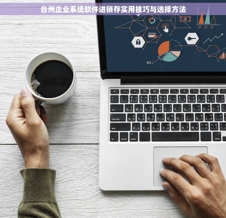 台州企业系统软件进销存实用技巧与选择方法