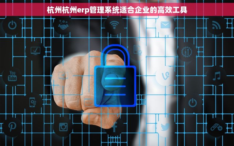 杭州杭州erp管理系统适合企业的高效工具 杭州杭州erp管理系统适合企业的高效工具